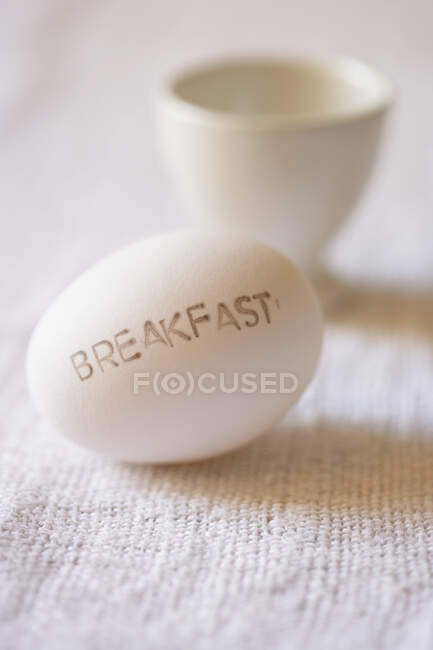 White egg with a cup of milk on a wooden background — Stock Photo