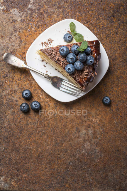 Pedazo de delicioso pastel de esponja con crema y chocolate - foto de stock