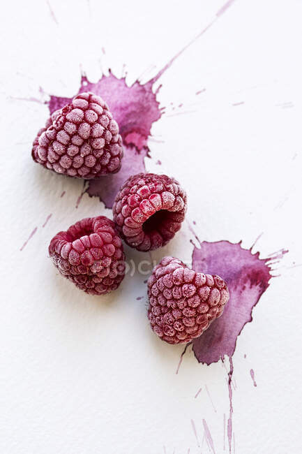 Four Frozen Raspberries on watercolor painted background — Stock Photo