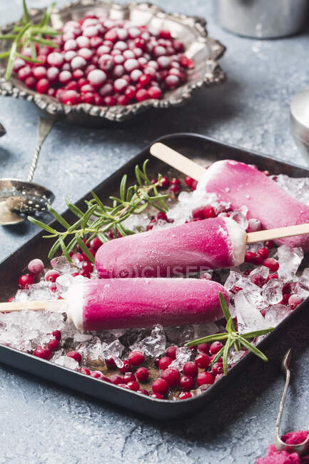 Pink cranberry popsicle with rosemary and berries — Stock Photo