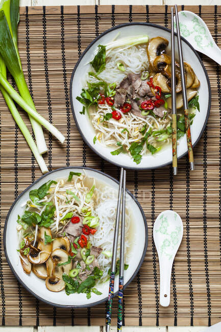 Pho mit Mungobohnenkeimen, Frühlingszwiebeln, Chili, Pilzen und Rindfleisch (Vietnam) — Stockfoto