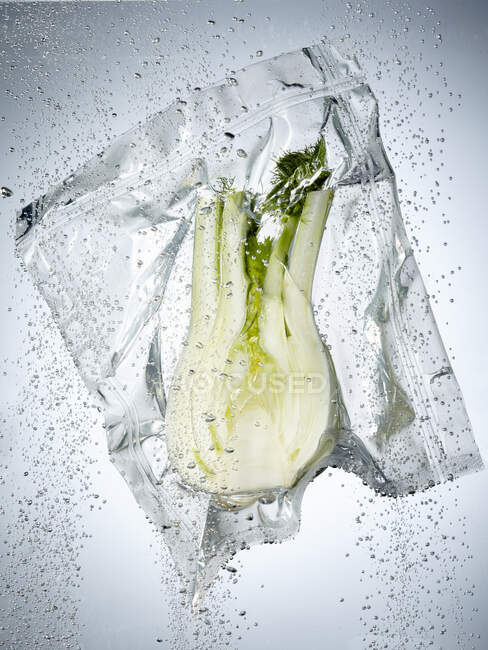Fennel in a sous vide bag — Stock Photo