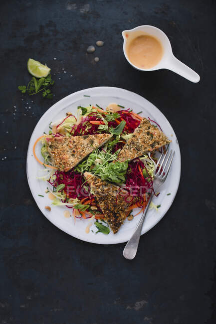 Putenschnitzel mit Nusskruste mit Rote-Bete-Reisnudeln, Möhren-Juliennes und einem Kräuter-Kresse-Salat — Stockfoto