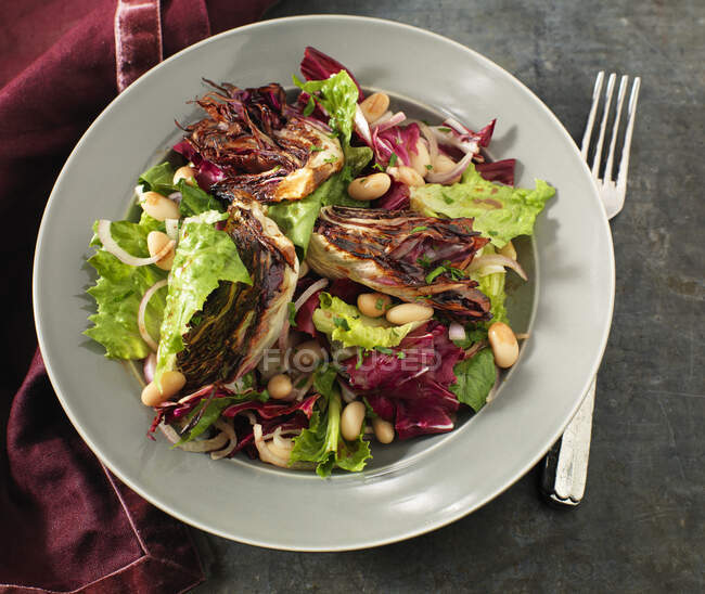 Radiccio Salat mit weißen Bohnen — Stockfoto
