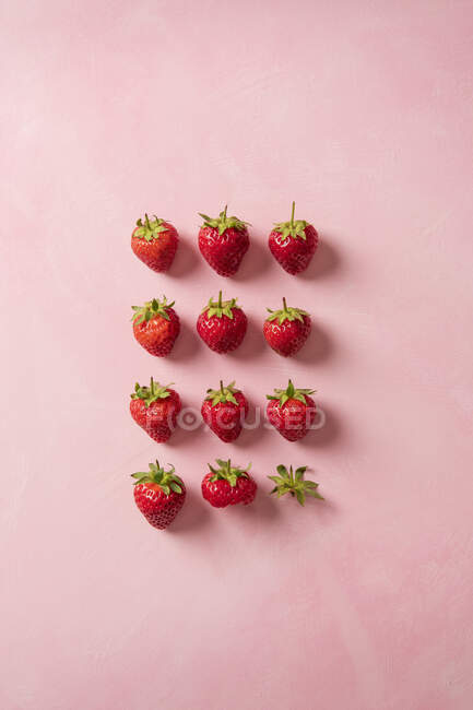 Vier Reihen Erdbeeren, von denen zwei verzehrt werden — Stockfoto