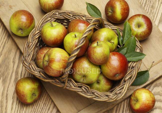Свіжі яблука з листям у кошику. — Stock Photo