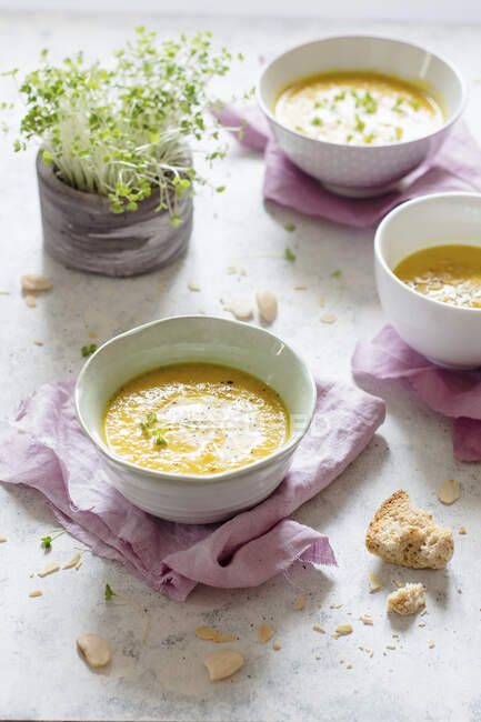 Cream soup with croutons and fresh herbs — Stock Photo