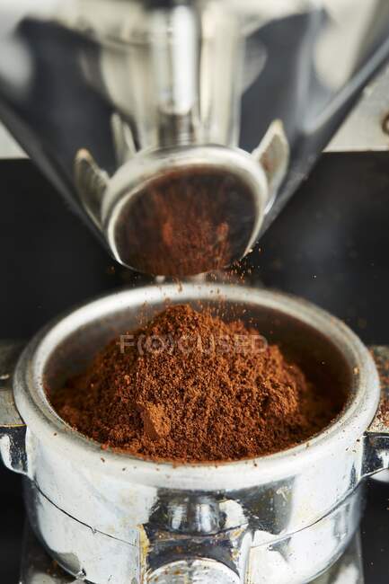 Frisch gemahlener Kaffee fällt aus einer Kaffeemühle in einen Filterhalter — Stockfoto