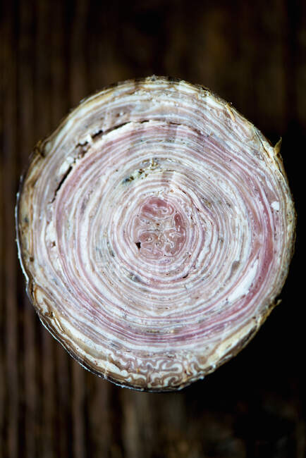 Hermosa textura de una superficie de tronco de roble - foto de stock