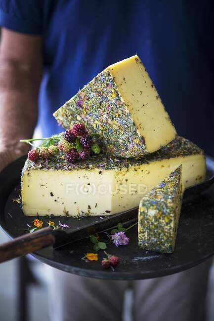 Um homem segurando uma tábua de queijo com queijo de ervas da montanha — Fotografia de Stock