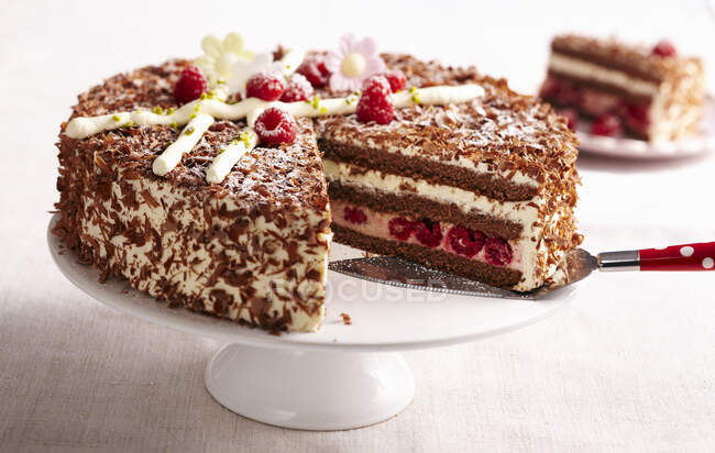 Raspberry Easter cake with a biscuit base — Stock Photo