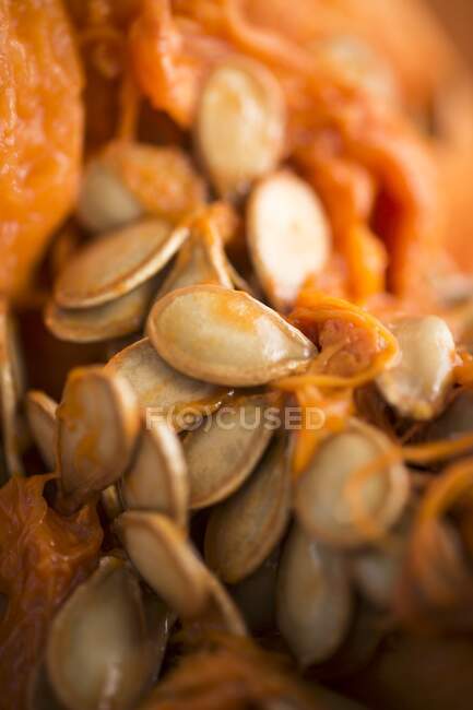 Muchas semillas frescas de calabaza (primer plano) - foto de stock
