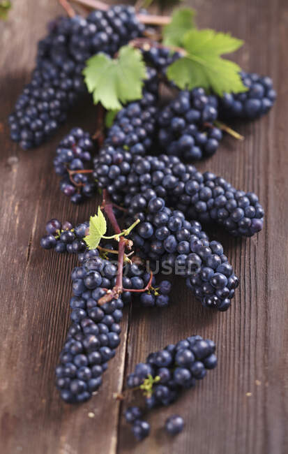 Small blue grapes on wooden background — Stock Photo