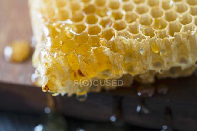 Peigne de miel sur le nid d'abeille — Photo de stock