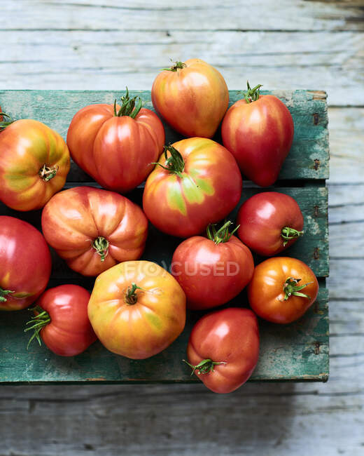 Cosecha de tomate en caja de madera - foto de stock