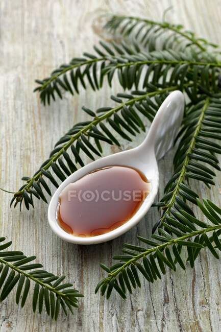 Spruce tip syrup on a spoon — Stock Photo