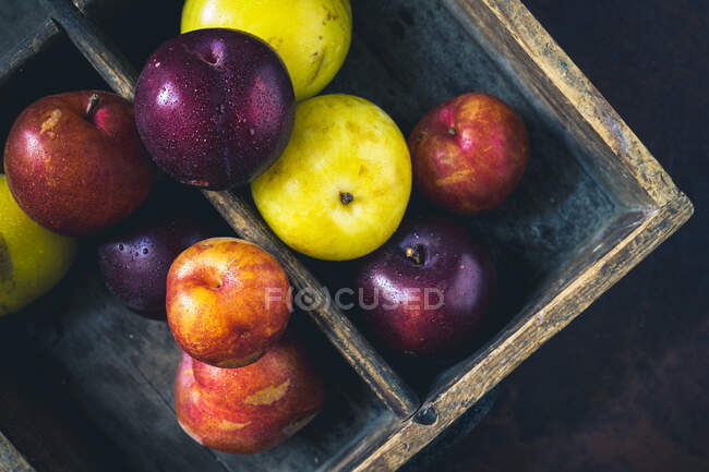 Colorful plums in vintage wooden crate — Stock Photo