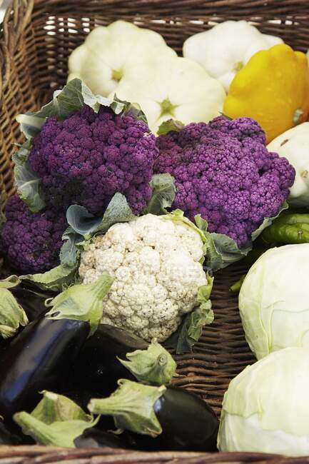 Cauliflowers, patty pan squash, aubergines and white cabbages in a basket — Stock Photo