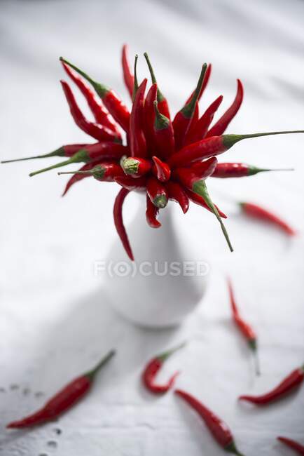 Fresh chillies in a vase — Stock Photo