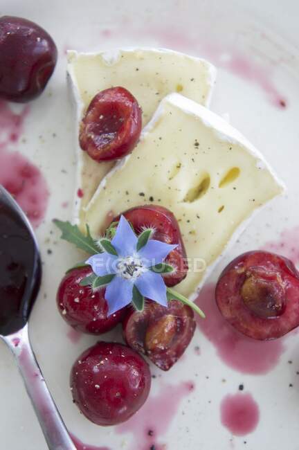 Queijo Brie com cerejas e flor de borragem — Fotografia de Stock