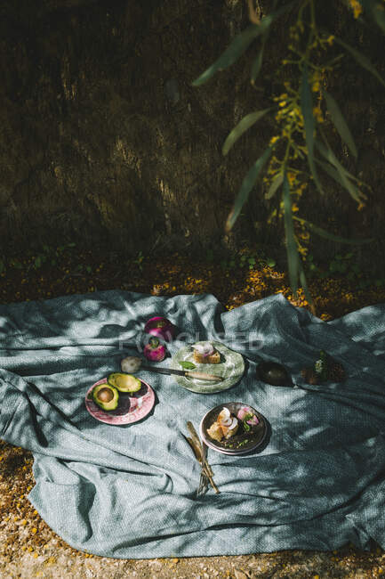 Picnic bajo el árbol, con paño de picnic en el suelo con platos, aguacate, pan - foto de stock