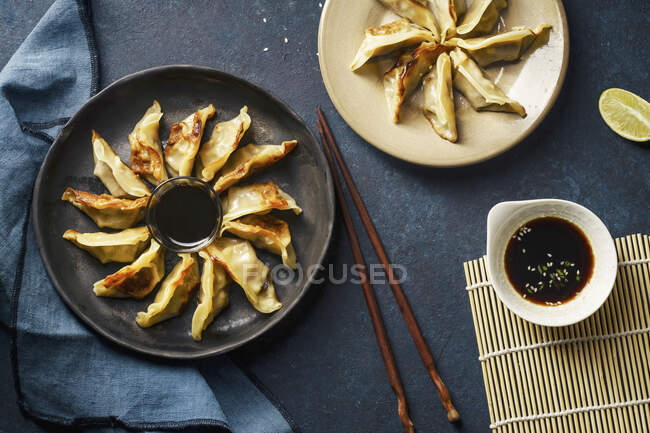 Fried gyoza dumplings with duck served with soy sauce and sesame seeds — Stock Photo