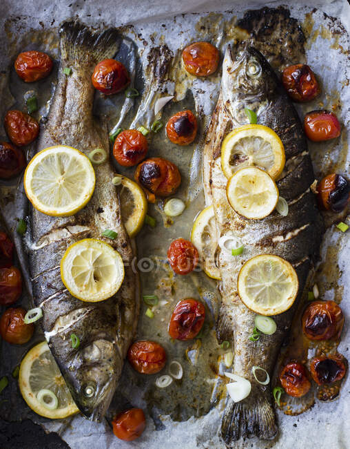 Trout baked with cherry tomatoes and lemon, spring onion — Stock Photo