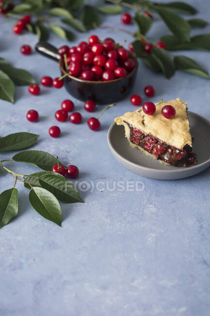 Крупный план вкусного кусочка шоколада и вишневого пирога — стоковое фото