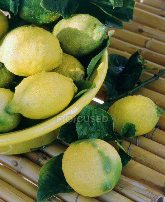 Limones con hojas en un bol - foto de stock