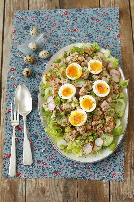 Salat mit Thunfisch, Eiern, Gurken und roten Radieschen zu Ostern — Stockfoto