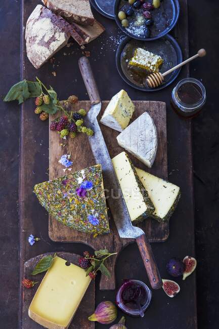 Ein Käsebrett mit verschiedenen Käsesorten (Draufsicht)) — Stockfoto