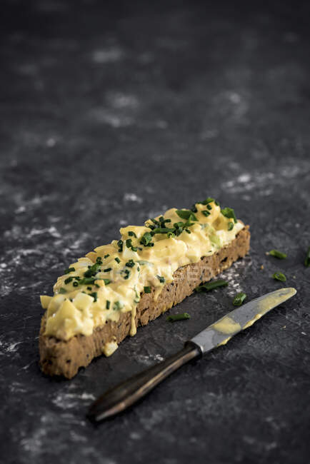 Primer plano de delicioso Crostini con ensalada de huevo y cebollino - foto de stock