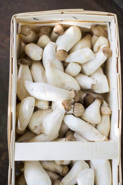 Mushrooms in a wooden basket — Stock Photo