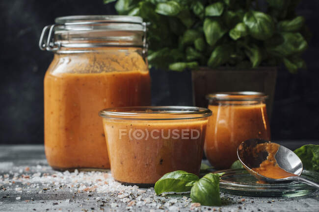 Sopa de tomate y albahaca conservada - foto de stock
