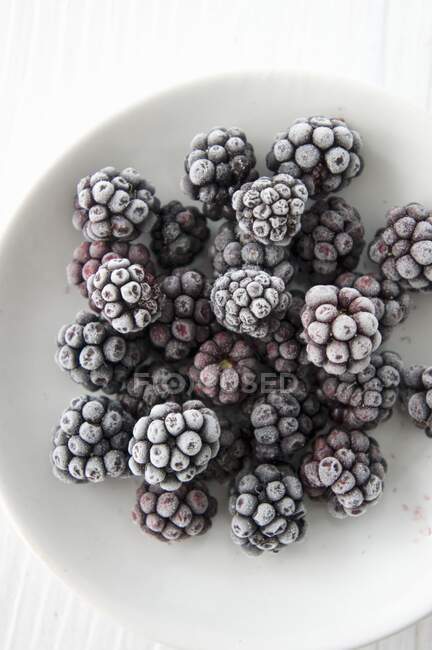 Frozen blackberries in white ceramic bowl — Stock Photo