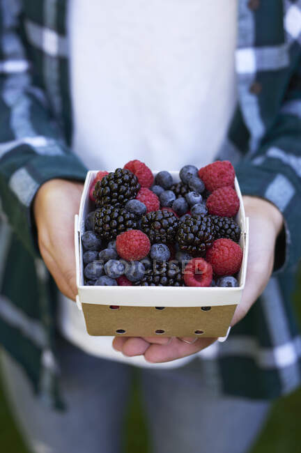 Eine Person hält einen Karton mit frischen Beeren in der Hand — Stockfoto