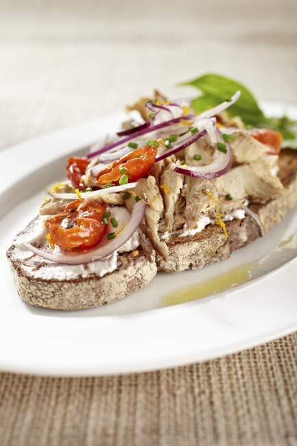 Відкритий літній бутерброд з тунцем, помідорами та червоною цибулею — стокове фото