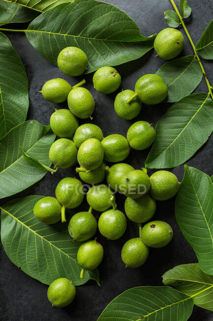 Green walnuts and walnut leaves on a black surface — Stock Photo
