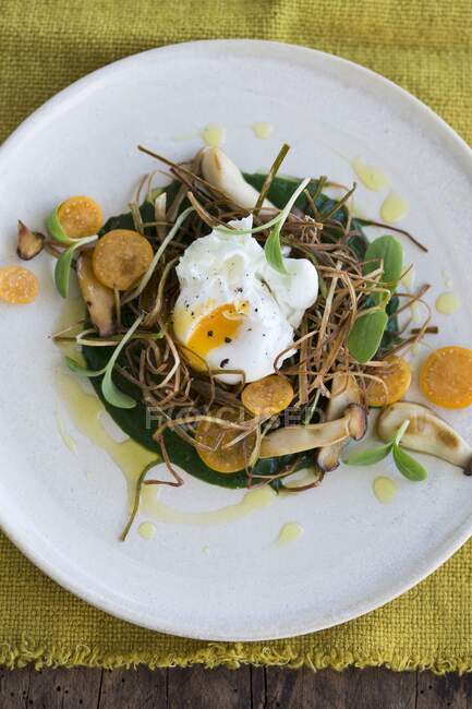 Poached egg on fried leeks with spinach puree, herbs, kumquats and borage shoots — Stock Photo
