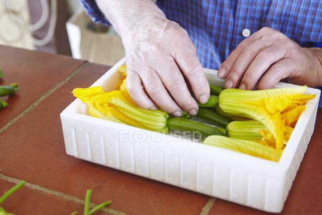 Courgette flowers being packed into a polystyrene container — Stock Photo