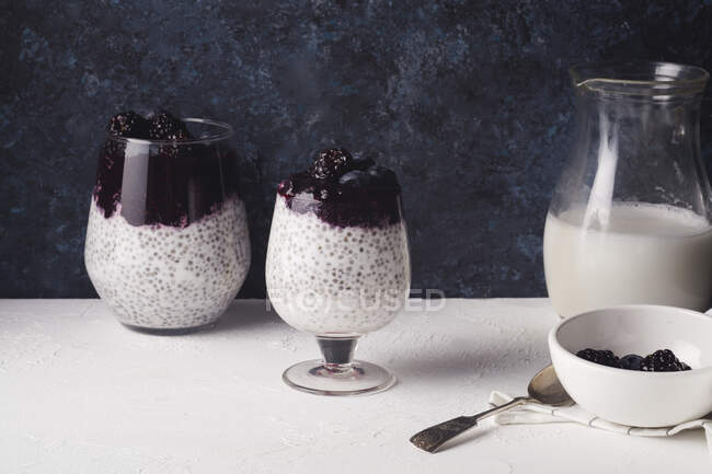 Chia-Pudding mit Kokosmilch und Brombeer-Smoothie — Stockfoto