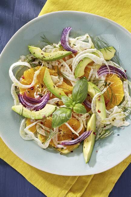 Апельсиновый салат с фенхелем, красным луком и авокадо — стоковое фото