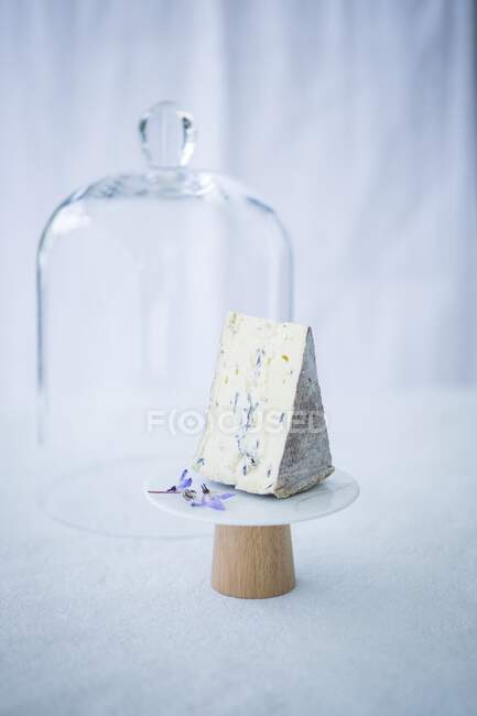 Fromage bleu à côté d'une cloche de fromage — Photo de stock