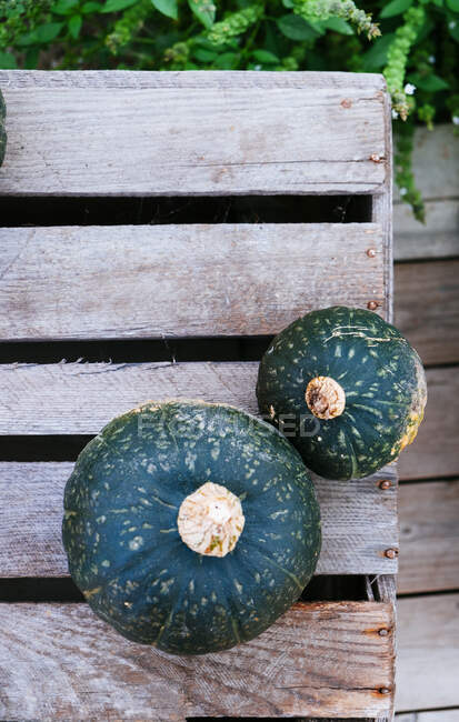 Two green pumpkins at a wooden box from above — Stock Photo