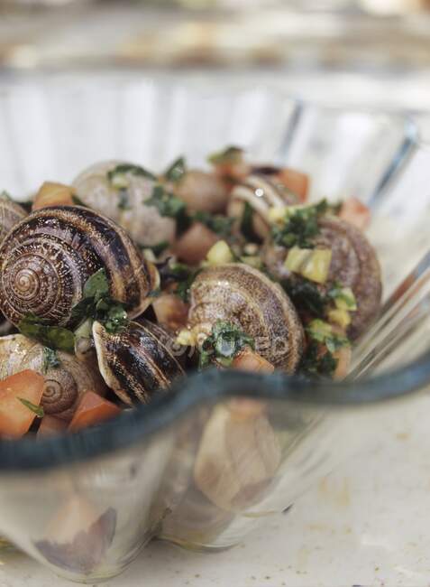 Snails with tomato and parsley — Stock Photo