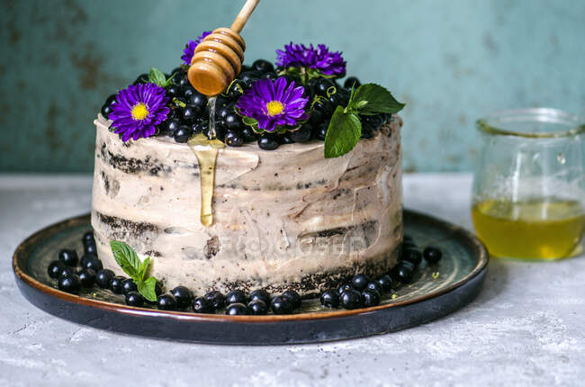Gâteau à la cerise d'oiseau et miel — Photo de stock