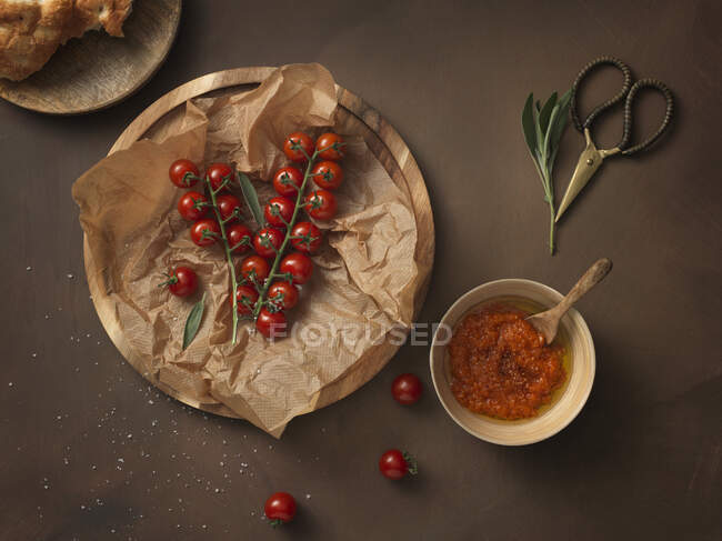 Tomates frescos de vid y salsa de tomate - foto de stock