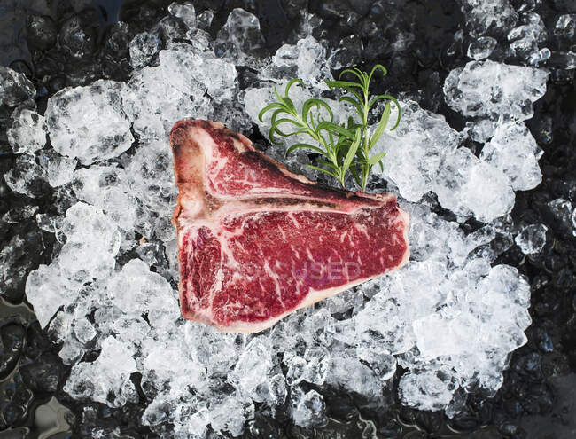 Raw fresh t-bone steak on chipped ice with rosemary — Stock Photo