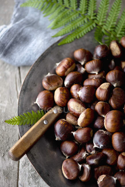 A plate of foraged chestnuts on a rustic background — Stock Photo
