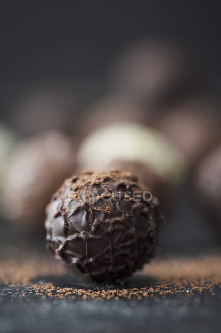 Trufas pralineas con cacao en polvo - foto de stock
